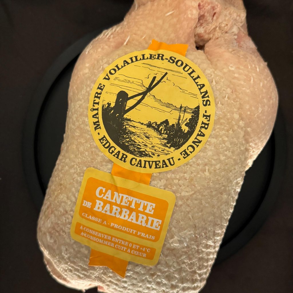 Tamme eend Canette